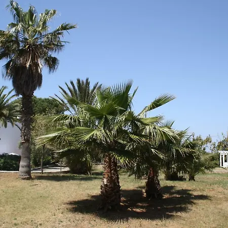 Bed & Breakfast Parco Del Pizzo